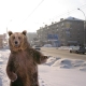 RussianStreetBear's avatar
