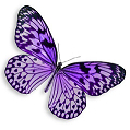 ButterflyEffect